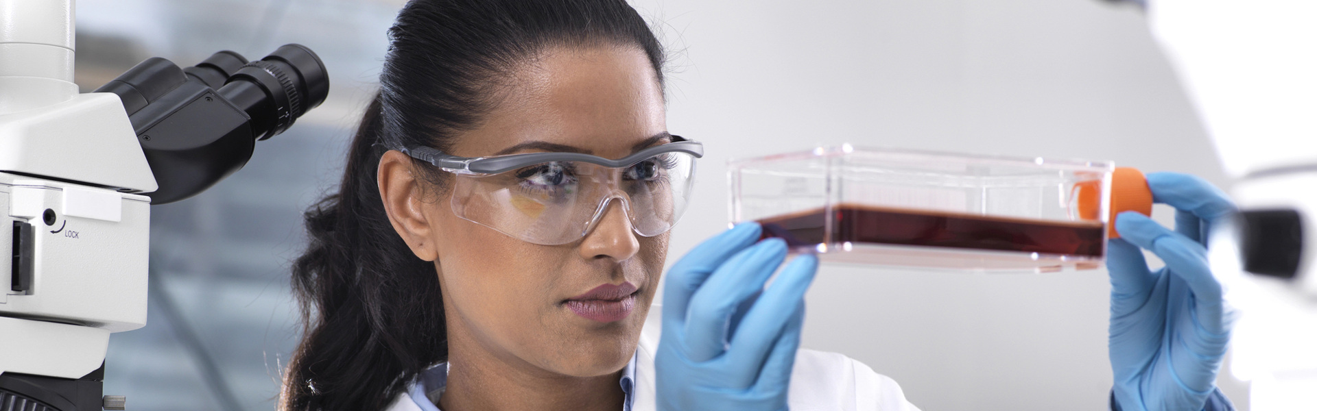 Scientist observes the development of stem cells in a culture vessel during an experiment in the laboratory